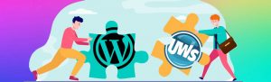 How UWS Can Help With Your WordPress Site