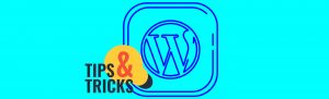 Top 5 WordPress Tricks and Tips For Beginners
