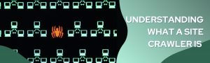What Is A Site Crawler