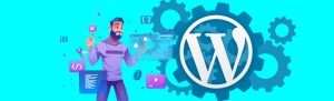 What is a WordPress Developer